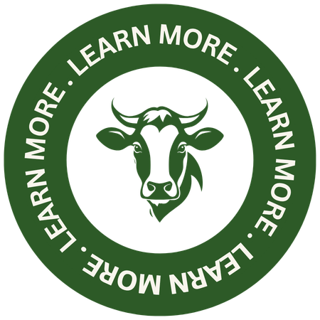 LEARN MORE